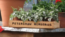 Petersham Nurseries Cafe and Teahouse