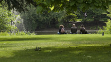 Greenwich Park - © Anne Marie Briscombe