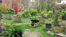 Phoenix Garden