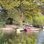 Finsbury Park Boating Lake