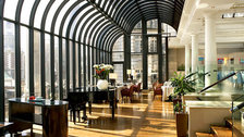 The Terrace Grill & Bar