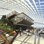 Sky Garden
