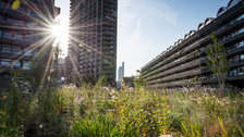 Open Garden Squares Weekend - Beech Gardens - Barbican Estate by Diana Jarvis Open Garden Squares Weekend - Beech Gardens - Barbican Estate by Diana Jarvis