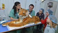 Vets in Action by ZSL London Zoo
