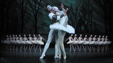 St Petersburg Ballet Theatre: Swan Lake - Irina Kolesnikova, Lac des Cygnes St Petersburg Ballet Theatre: Swan Lake - Irina Kolesnikova, Lac des Cygnes