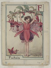 Flower Fairies by The Estate of Cicely Mary Barker, 1934