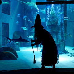 SEA LIFE London: Halloween Ascarium