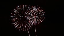 Hackney Fireworks at Clissold Park